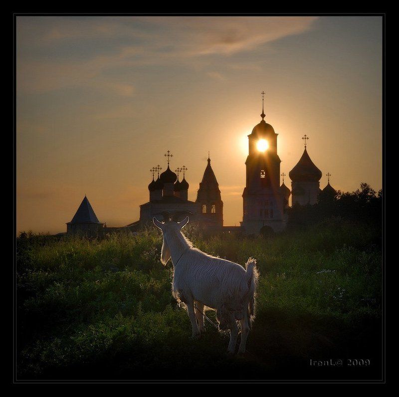 Прощальным взглядомphoto preview