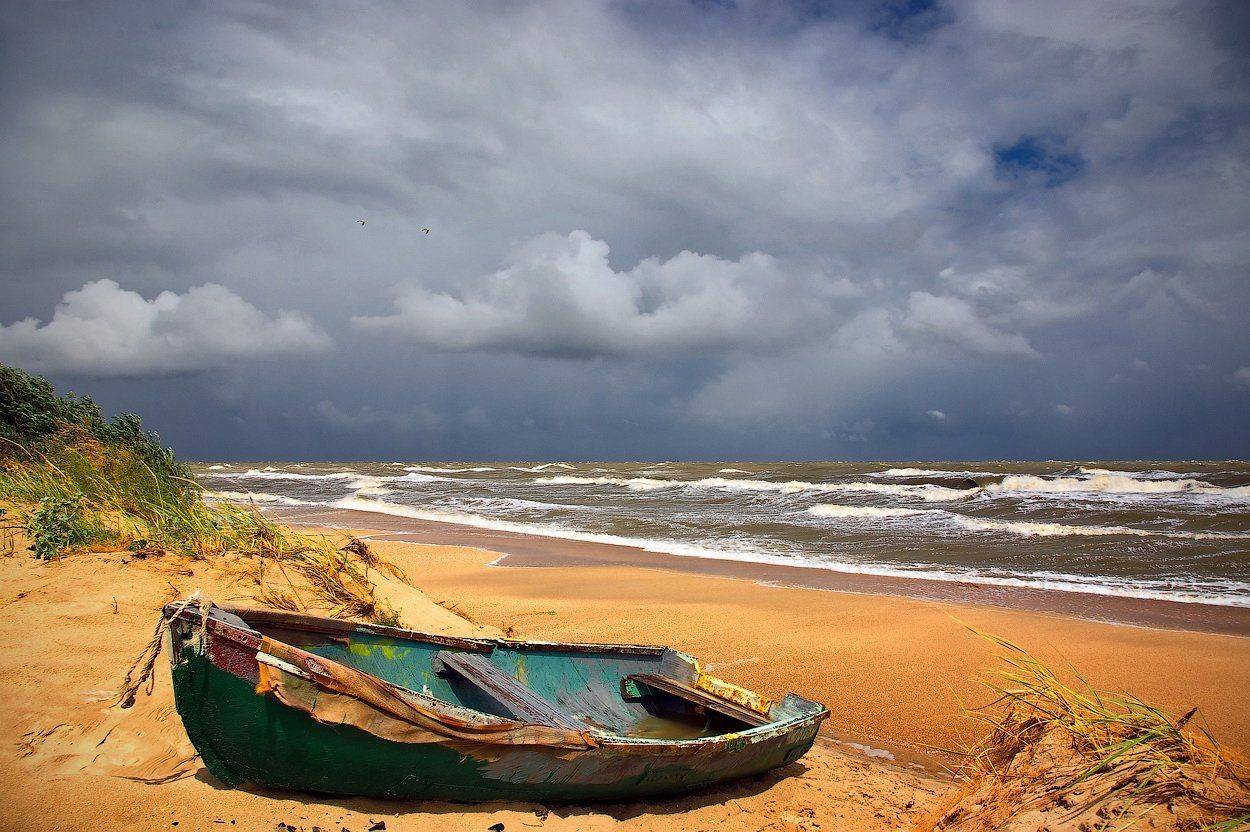 Снова лето!. Автор: Игорь Мелекесцев , Игорь Мелекесцев