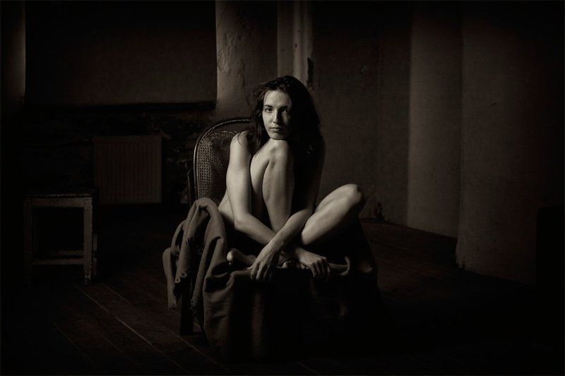 Паукphoto preview