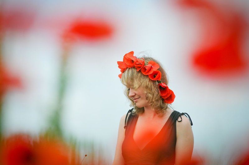 В маковых поляхphoto preview