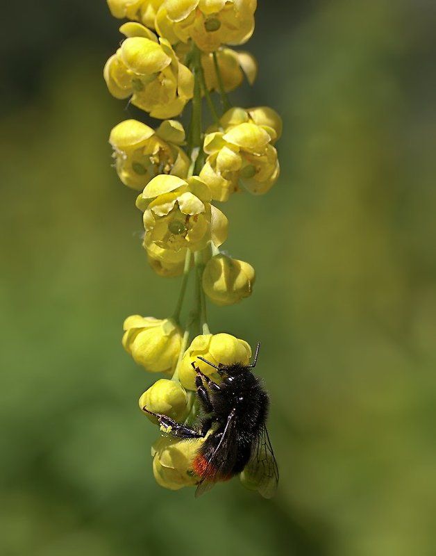 Акробатический этюдphoto preview