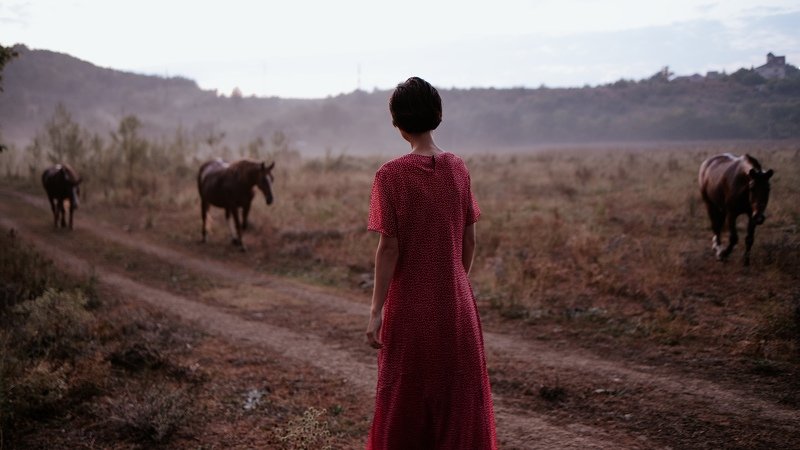 Портфолиоphoto preview