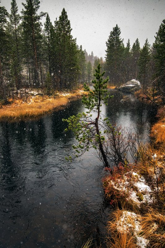 Осени ручей ...photo preview