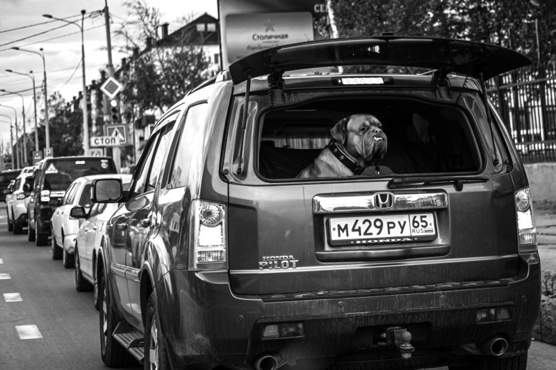 С работыphoto preview