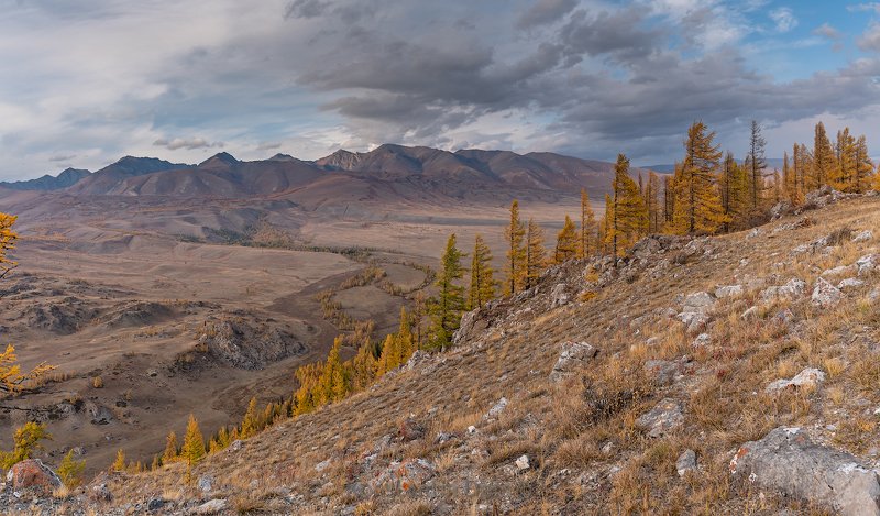 Осень на Алтае 2019 (II)photo preview