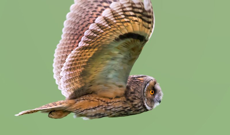 .-,-,.-.,,.-,.-photo preview