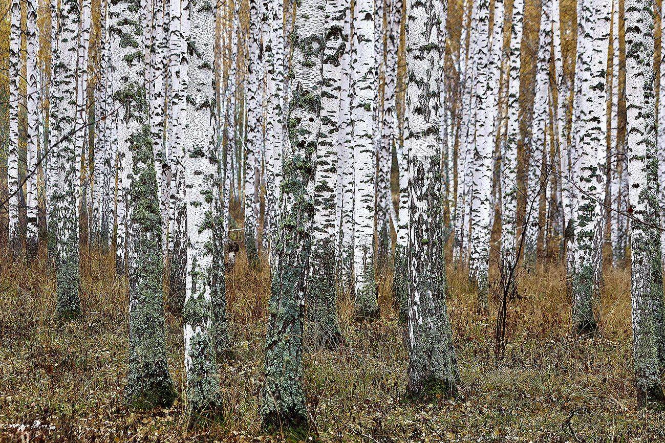 южный, урал, долгие горы, орск, новотроицк башкирия талкас, Качурин Алексей