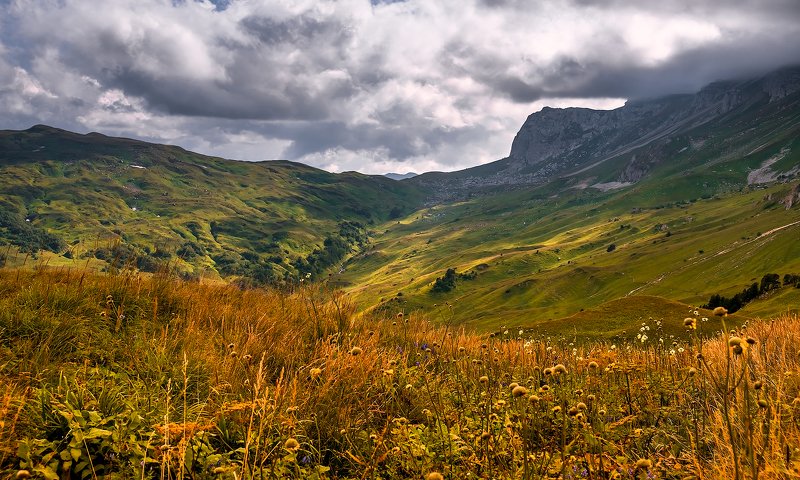 Август на плато Лаго-Накиphoto preview
