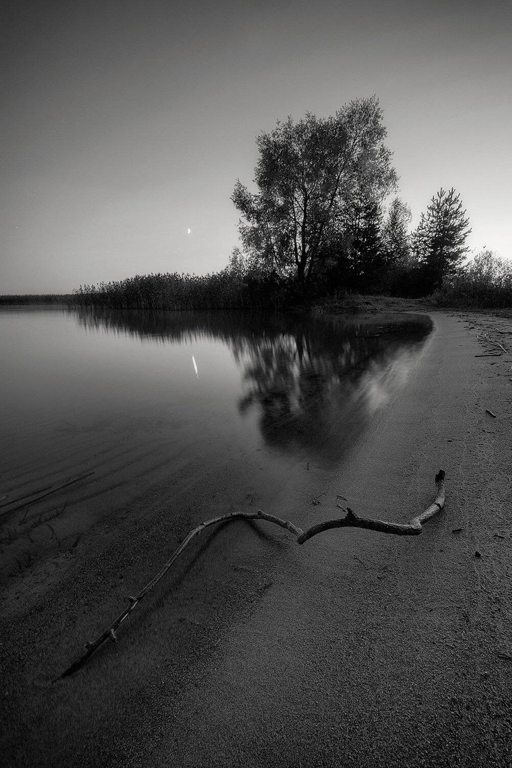 , Федотов Антон