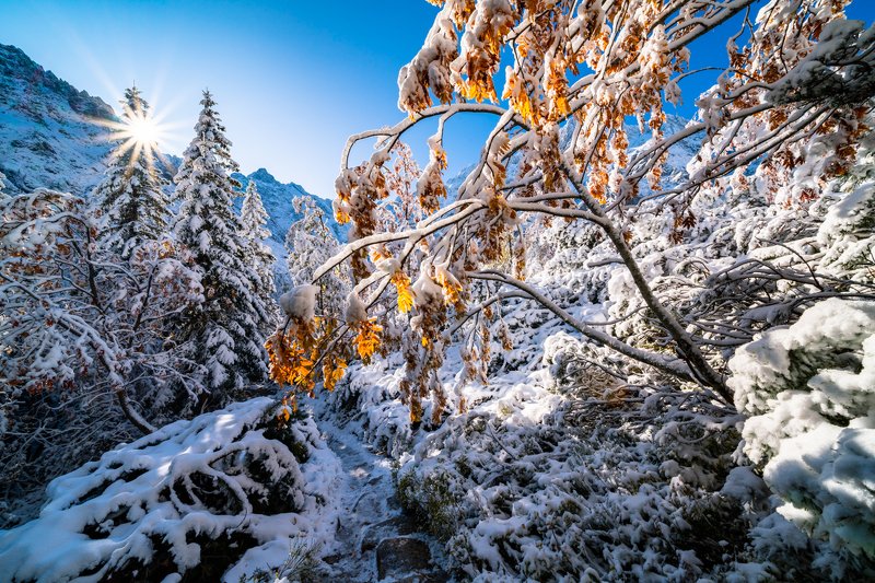 landscape, stream, mountains, morskie oko, zakopane, poland, sun, green, tatry, view, trees, niebo, water, snow Connection of autumn and winter at Morskie Okophoto preview