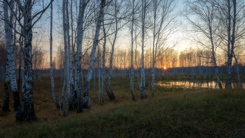 осень сентябрь закат березы ЗАТИХАЕТ ДЕНЬ , ОСЕННИЙ...photo preview