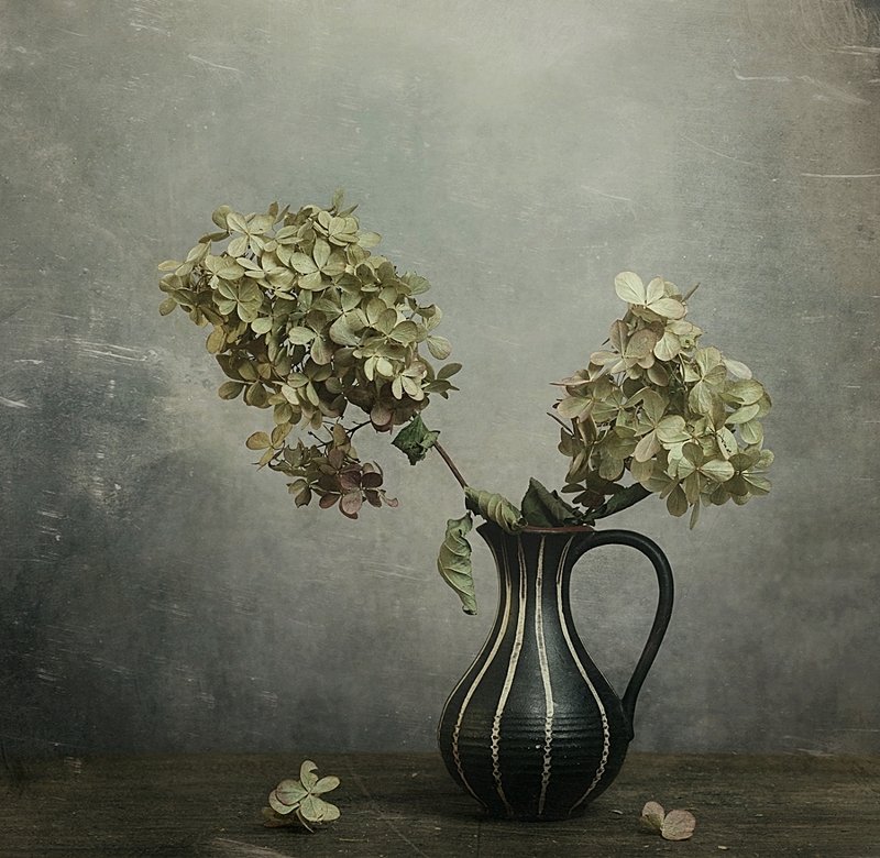 still life with hydrangeaphoto preview