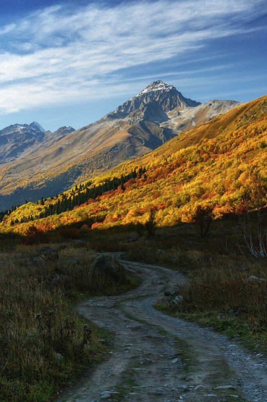 mountains nature autumn домбай горы осень пейзаж природа landscape ущелье gorge снег пик листья желтый лес forest I,m fallin down and caught up the leafs.photo preview