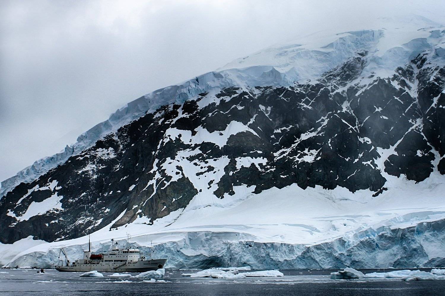 , Николай Шелепов