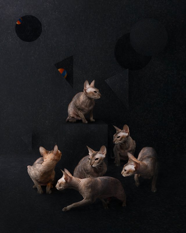 art, portrait, photomanipulation, photoshop, composing Familyphoto preview