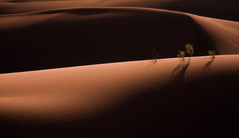 disert light shadows Light and shadows фото превью