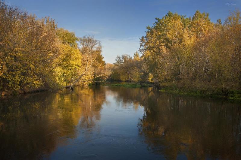 осень,утро,пейзаж,берег,река,лес Золотая осень ...photo preview