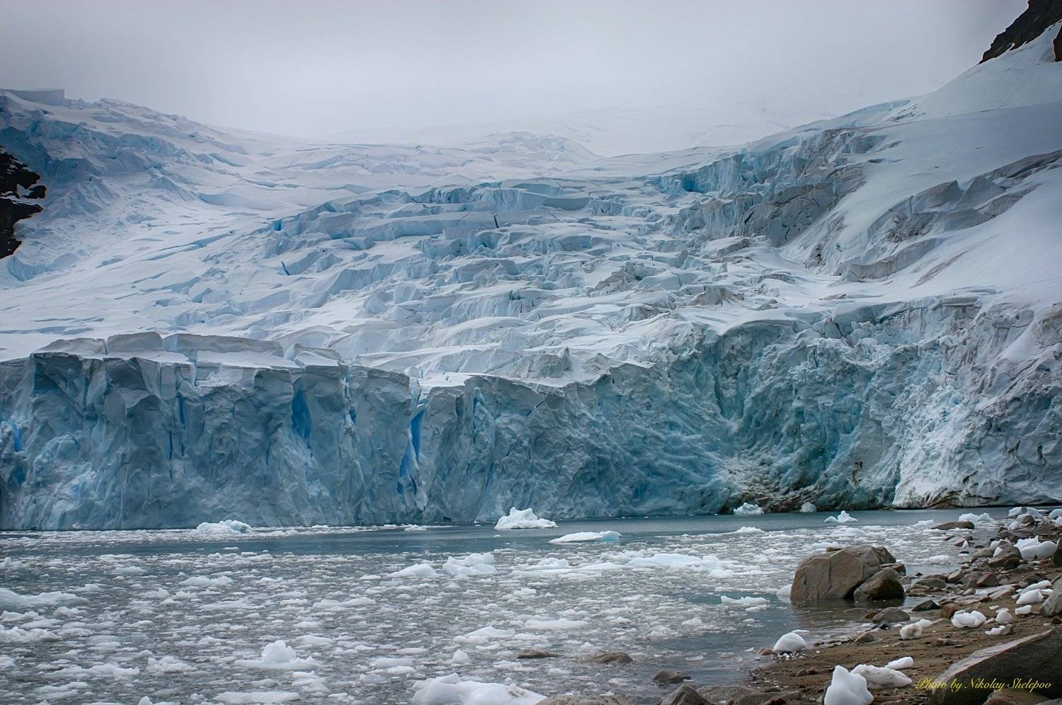 , Николай Шелепов