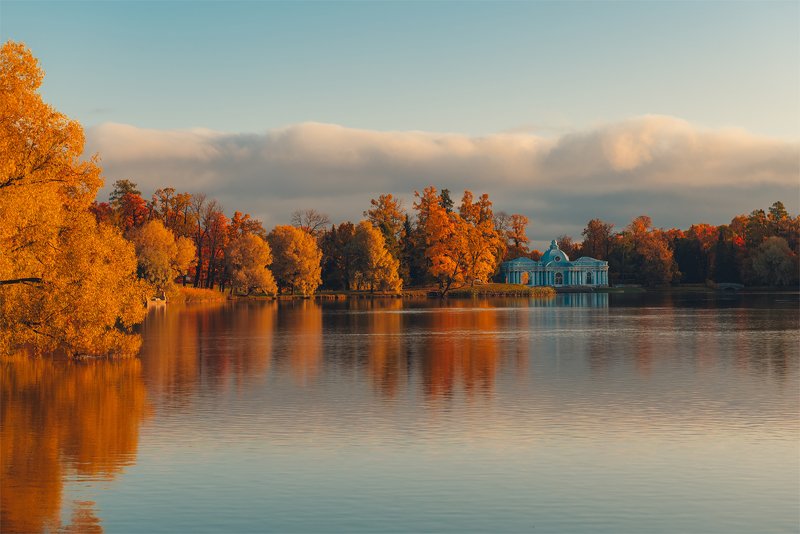 осень, октябрь, царское село, парк, екатерининский парк, пушкин, санкт-петербург, спб Осеннее утро в Екатерининском паркеphoto preview