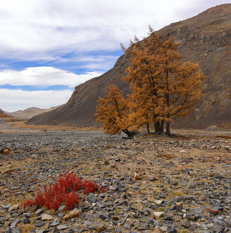 Осенние мотивы...photo preview