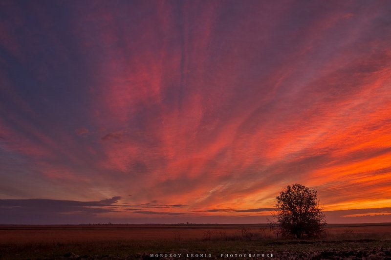 #landscape, #nature, #scenery, #forest, #wood, #autumn, #mist, #misty, #fog, #foggy, #river, #waterfall, #longexposure, #mountain, #vitosha, #bulgari, #aтуман, #лес, #oсень photo preview