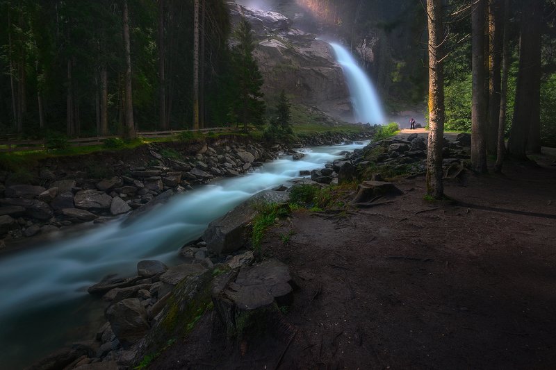 Forest Whisperphoto preview