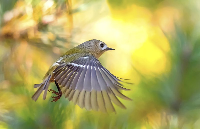 Искусство летатьphoto preview