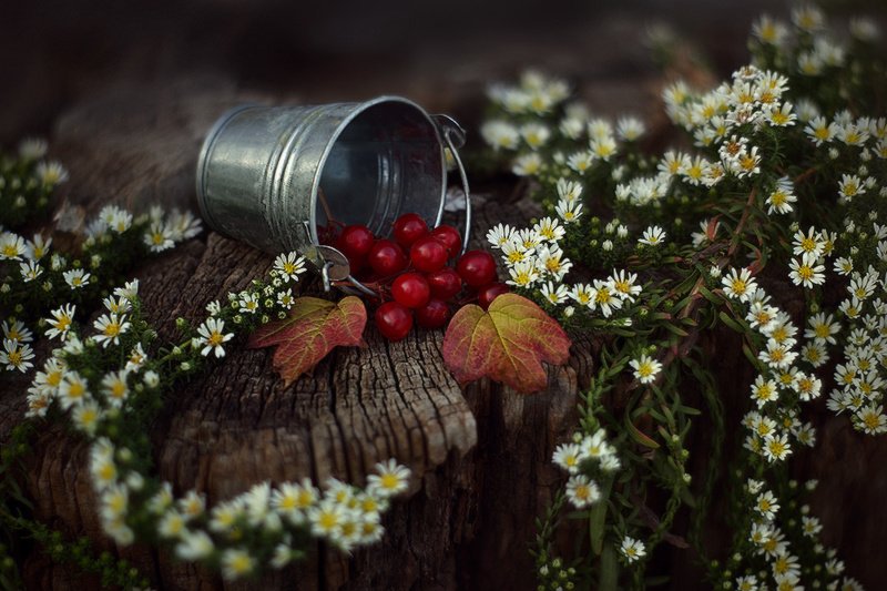 осень, октябрь, натюрморт Октябрь.photo preview