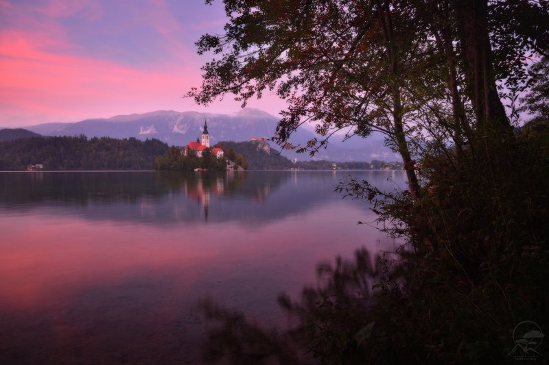 Блед в розовых тонахphoto preview