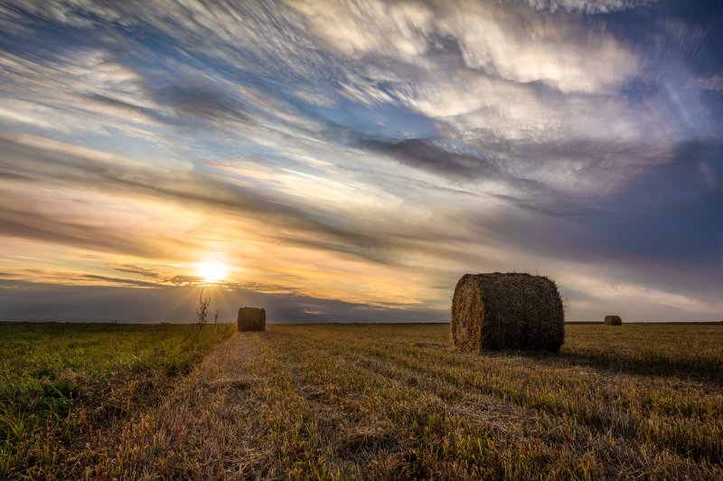 sunset sunlight skypainter paintedsky landscape field nature summer закат солнце раскрашенноенебо пейзаж природа Sky Painterphoto preview