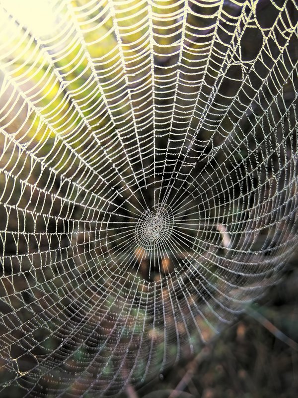 Парашютphoto preview