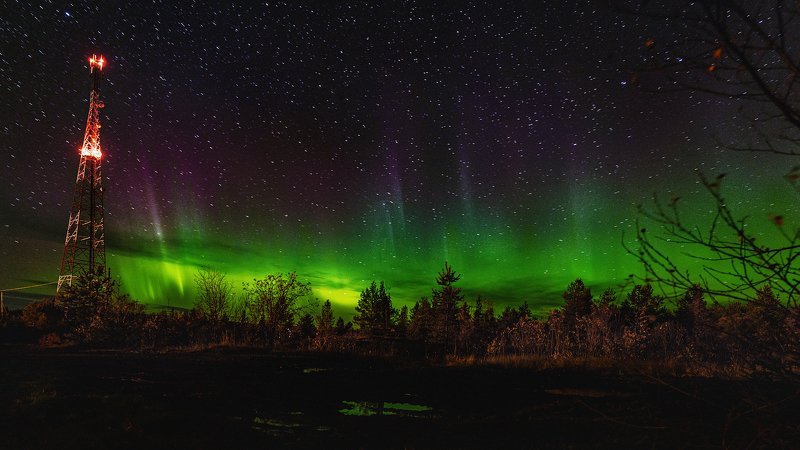 landscape, русский север, карелия, пейзаж, северное сияние, россия Северное сияние. Карелия (Кемь)photo preview