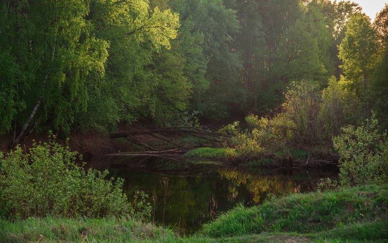 май, река, керженец, пейзаж Майский день на рекеphoto preview