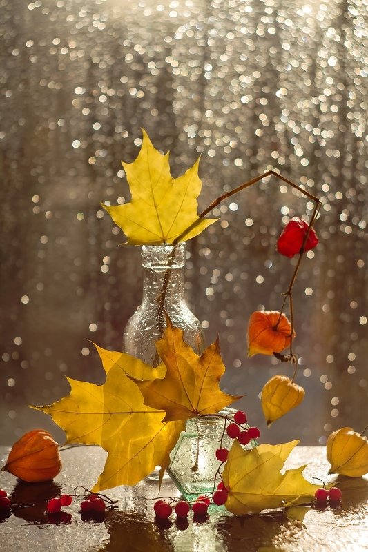 натюрморт, осень, клёновые листья Золото осениphoto preview