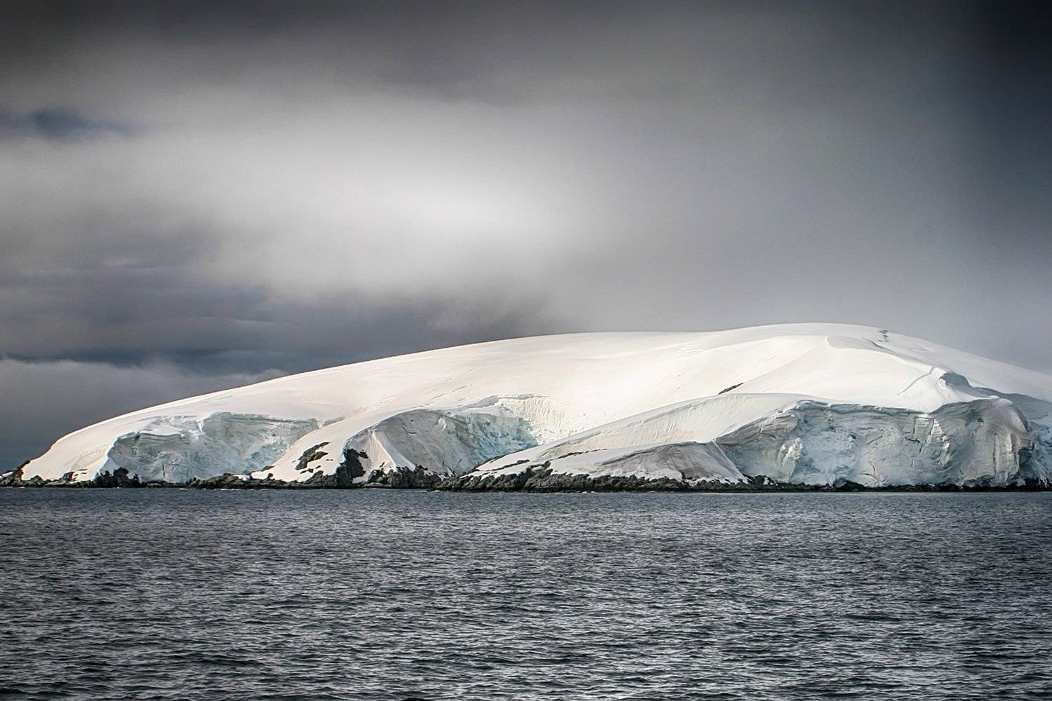 , Николай Шелепов