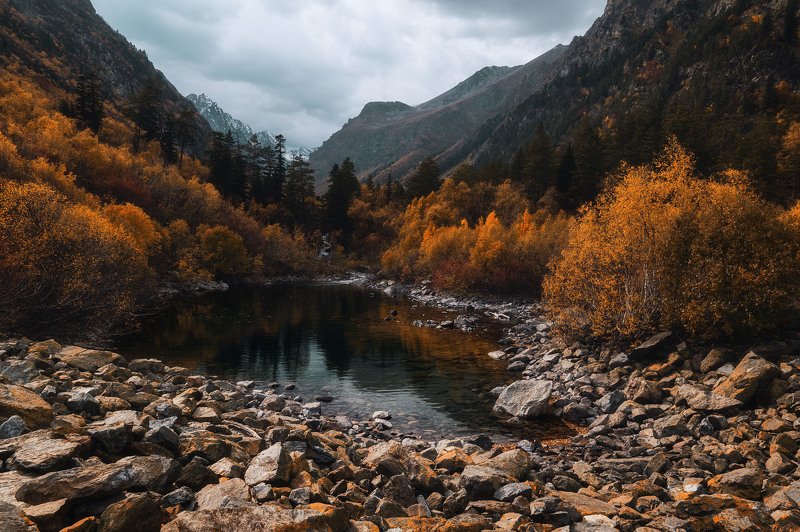 mountains nature autumn домбай горы осень пейзаж природа landscape e снег пик листья желтый лес forest озеро Dombay.photo preview
