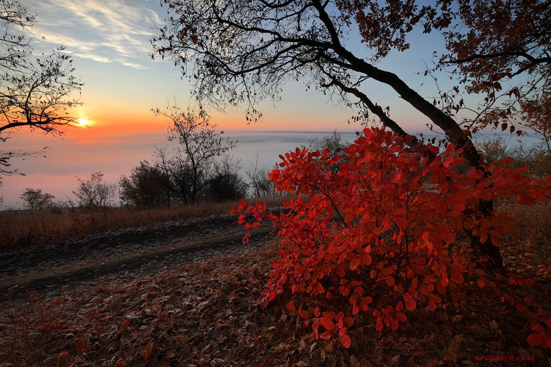 Осень хоросоphoto preview