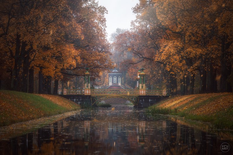 пушкин, осень, туман, парк Осеннее утро у Китайских мостиковphoto preview