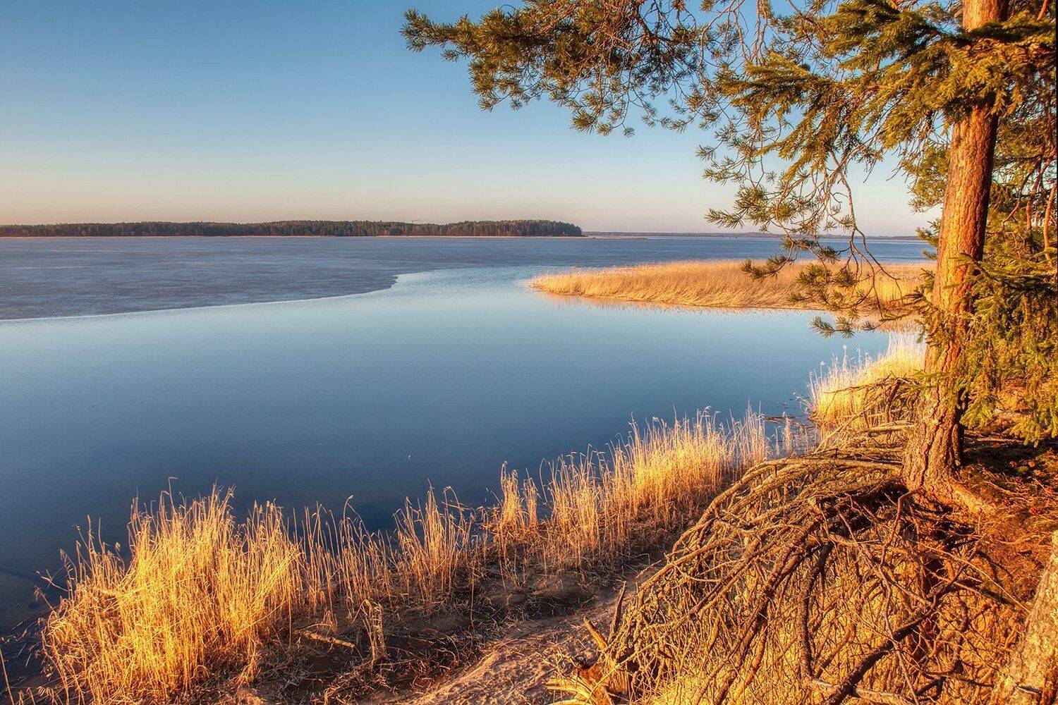 Солнечный берег. Автор: Федотов Антон , Федотов Антон