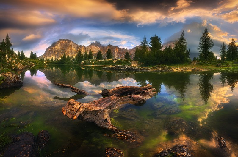 Limides...photo preview