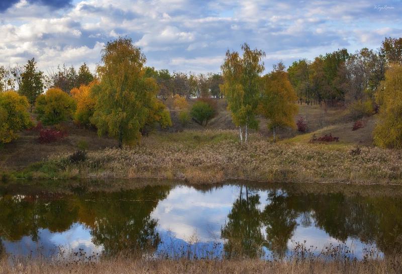 берег,день,лес,осень,пейзаж,река Осень яркая поёт ...photo preview
