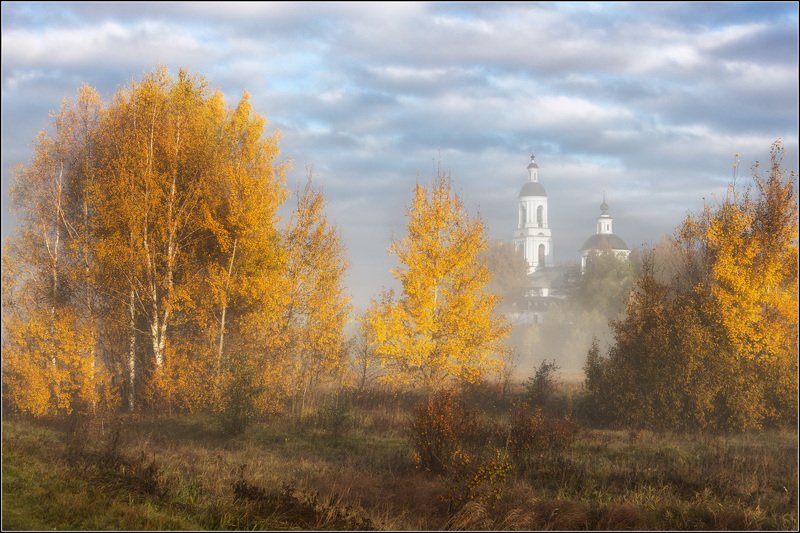 россия, владимирская обл, филипповское Среди деревьев жёлтыхphoto preview