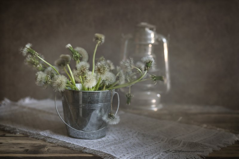 Одуванчикиphoto preview