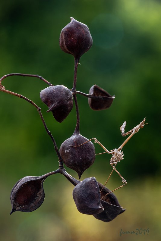 БАЛАНС СИСТЕМЫphoto preview