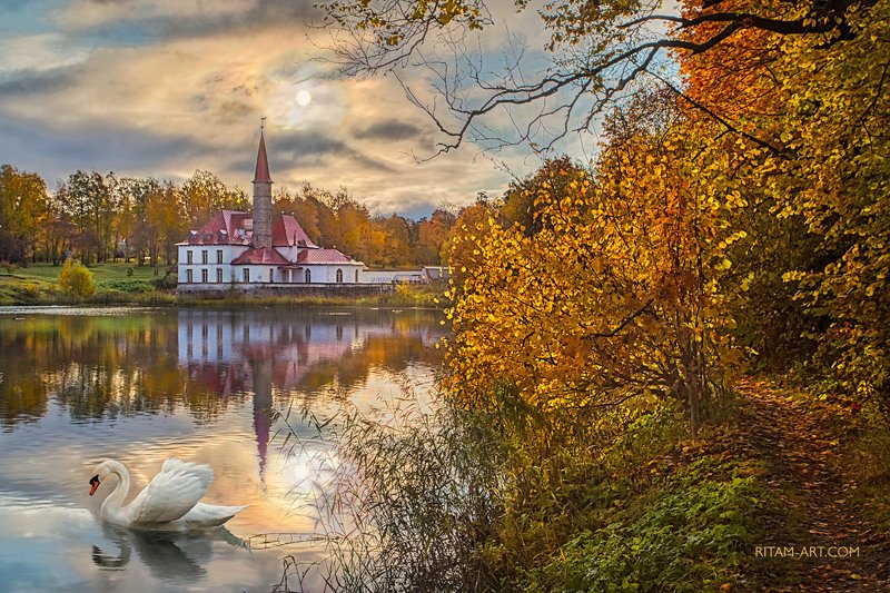 гатчина, петербург, санкт-петербург, гатчинский, парк, приорат, дворец, лебедь, осень, парк, озеро, пруд, природа, птица, стихи, поэзия, ритам, мельгунов, ленинградская область, листва, листья, осенний, gatchina, park, palace, swan, autumn, lake, pond, sa Осеннее утро или Под взором небесного Ока / An Autumnal Morn or Under the Heavenly Eyephoto preview