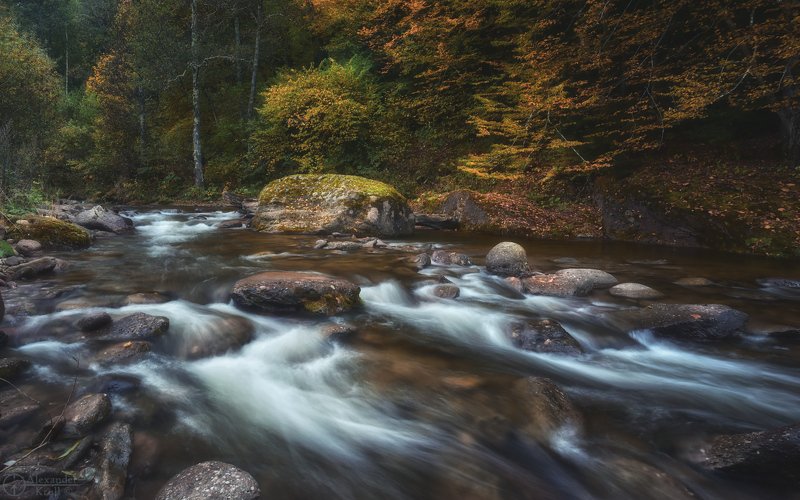 Шантацара...photo preview