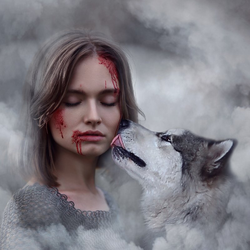 маламут, аляскинский маламут, кровь на лице, кольчуга, скиф, лучший друг, лайка photo preview