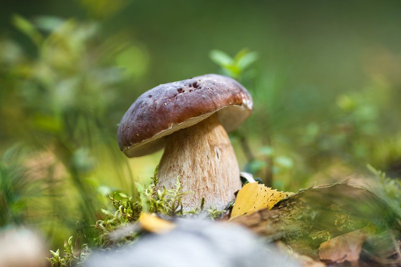 Желанный!) фото превью