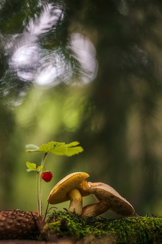 Вдвоемphoto preview