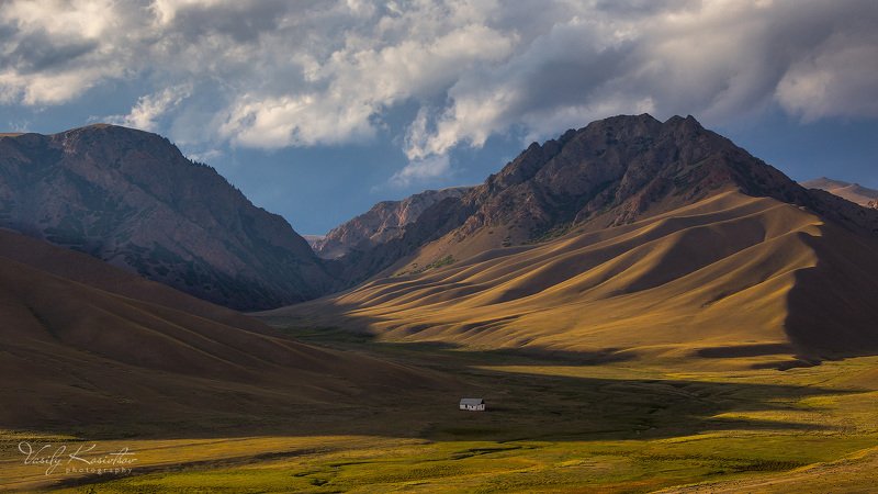 бегущие тени, влажная скорбь и ползущие облака... и попугаи фото превью